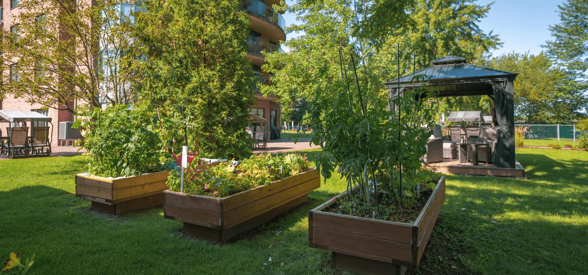 Jardin communautaire Résidence Domaine des Forges à Laval